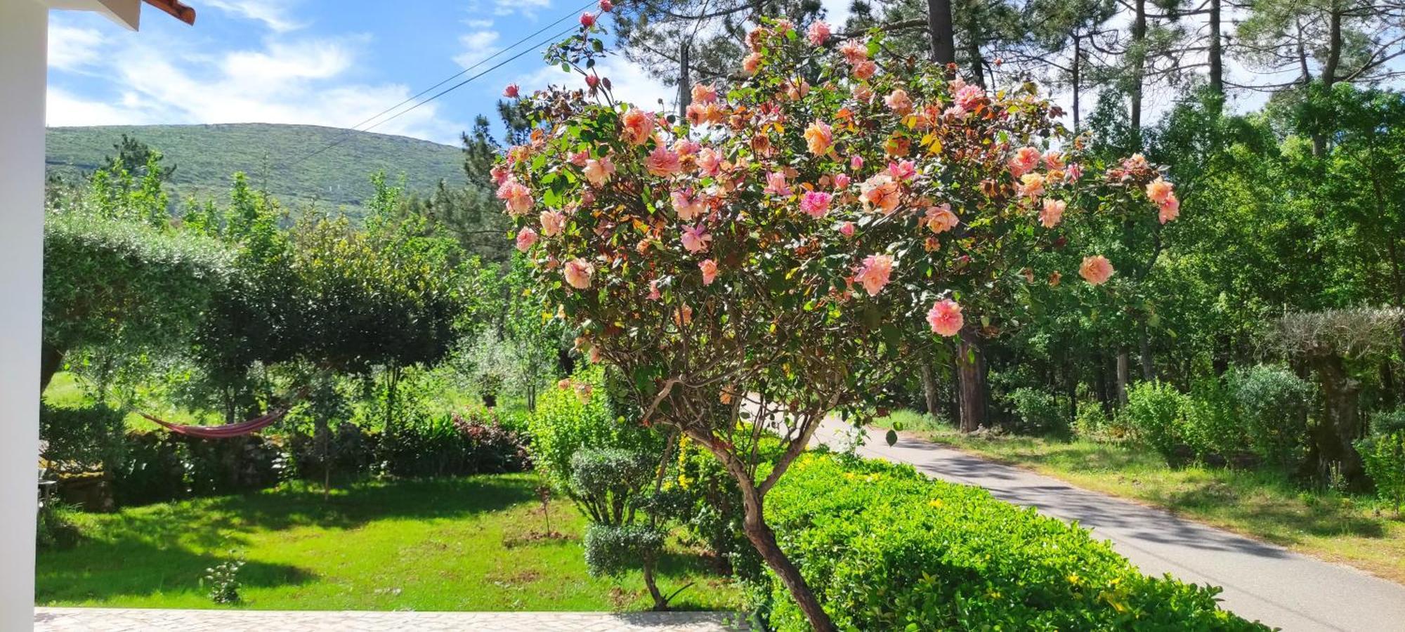 Casa Dos Vales 11 Βίλα Porto de Mós Εξωτερικό φωτογραφία