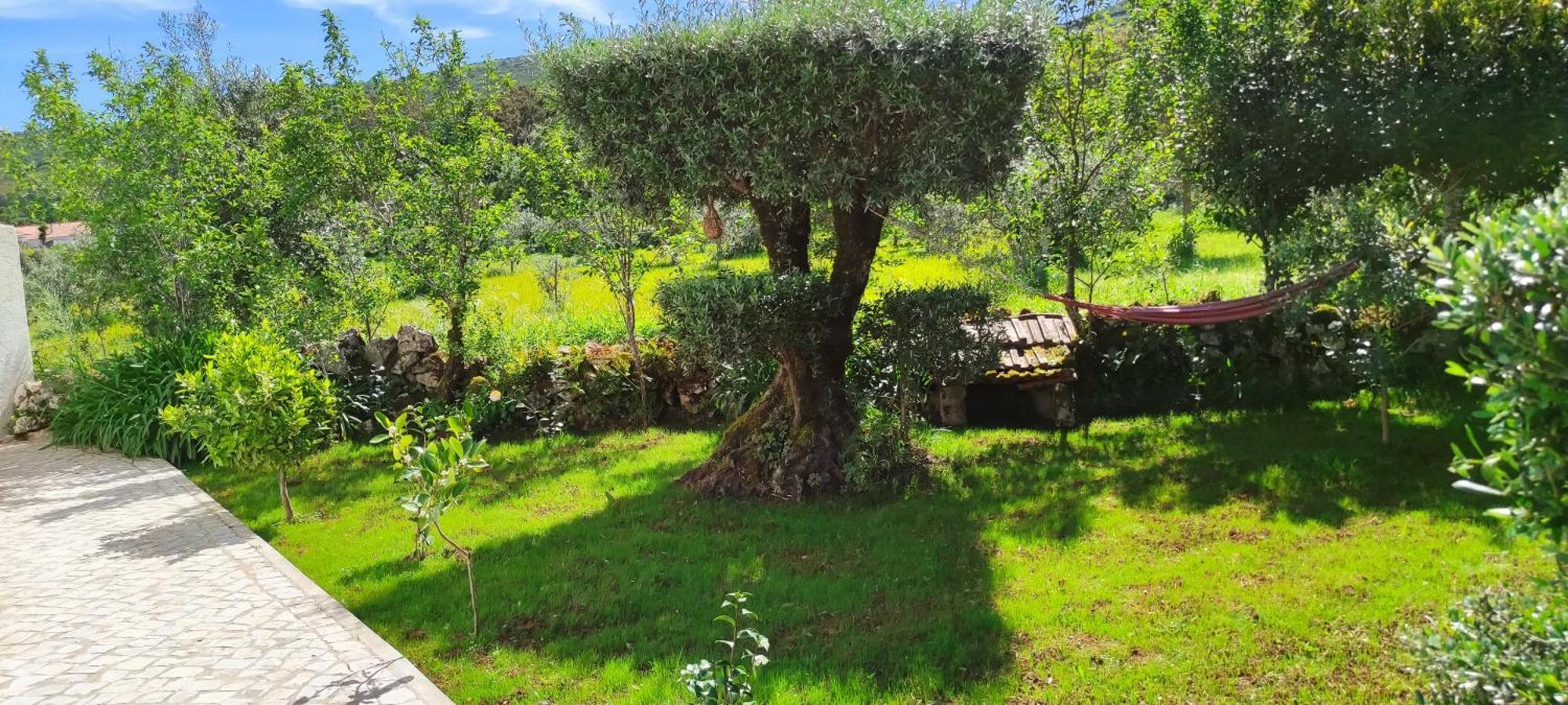 Casa Dos Vales 11 Βίλα Porto de Mós Εξωτερικό φωτογραφία